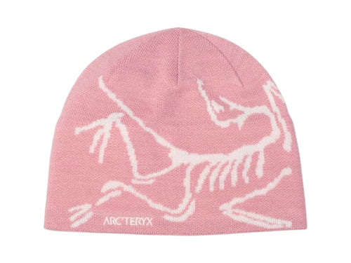 Arc'teryx Bird Head Toque Beanie Bliss/Artic Silk