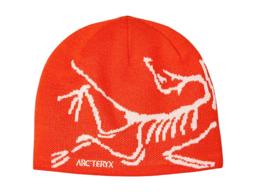 Arc'teryx Bird Head Toque Beanie Dynasty/Arc Silk