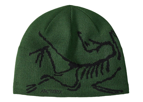 Arc'teryx Bird Head Toque Beanie Eden/Black