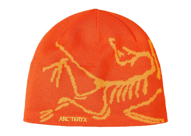 Arc'teryx Bird Head Toque Beanie Solaris/Edziza