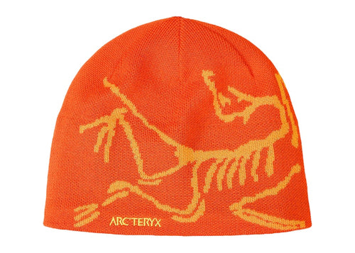 Arc'teryx Bird Head Toque Beanie Solaris/Edziza