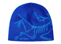 Arc'teryx Bird Head Toque Beanie Vitality/Fluidity